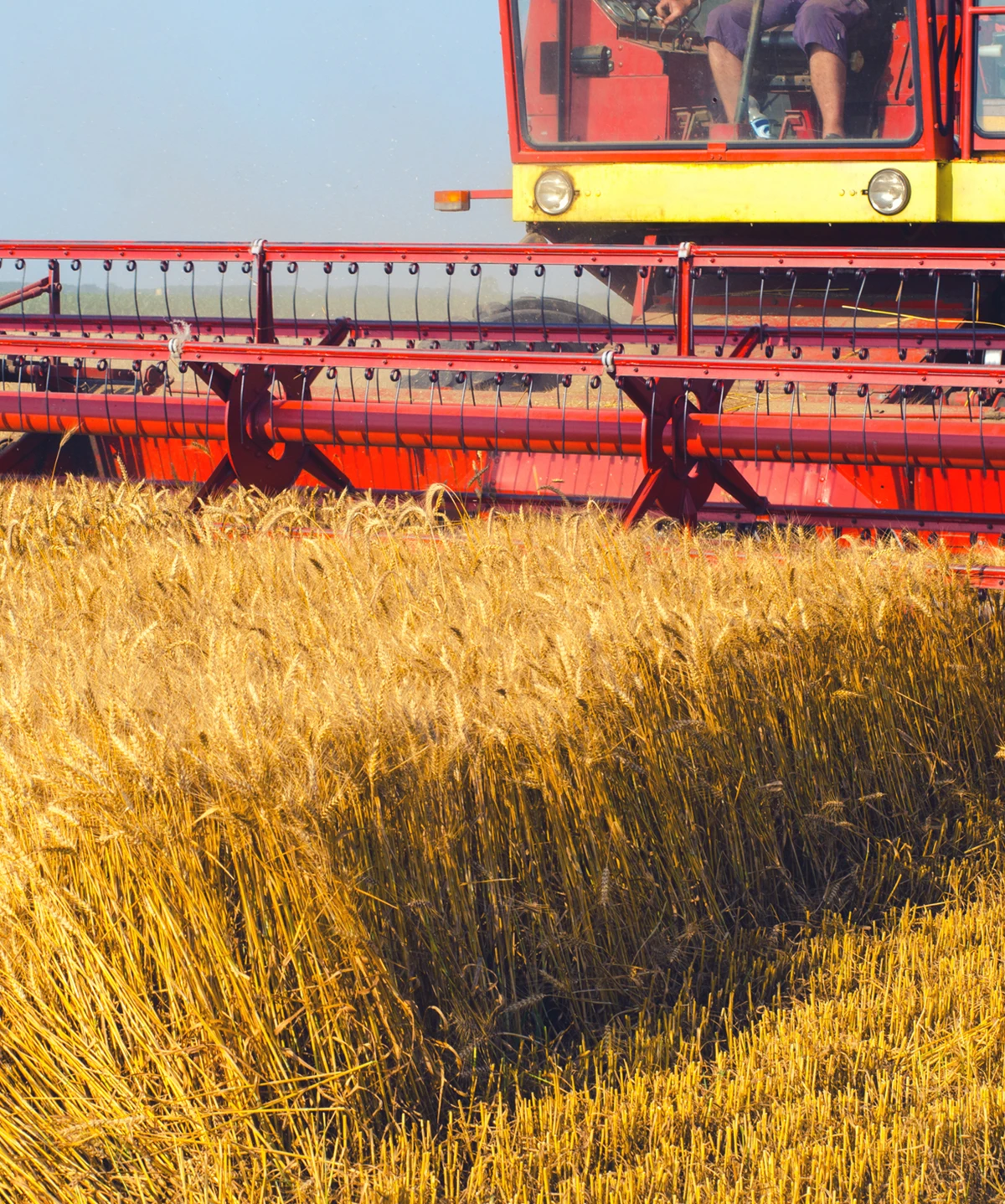 Farming